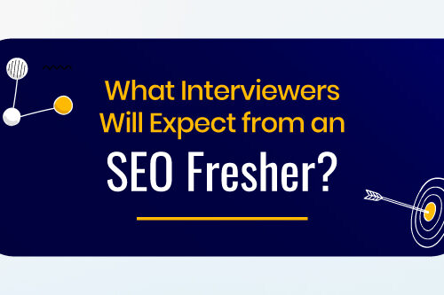 What Interviewers Will Expect From an SEO Fresher?